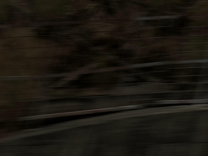 Ng Hon Lam Photography