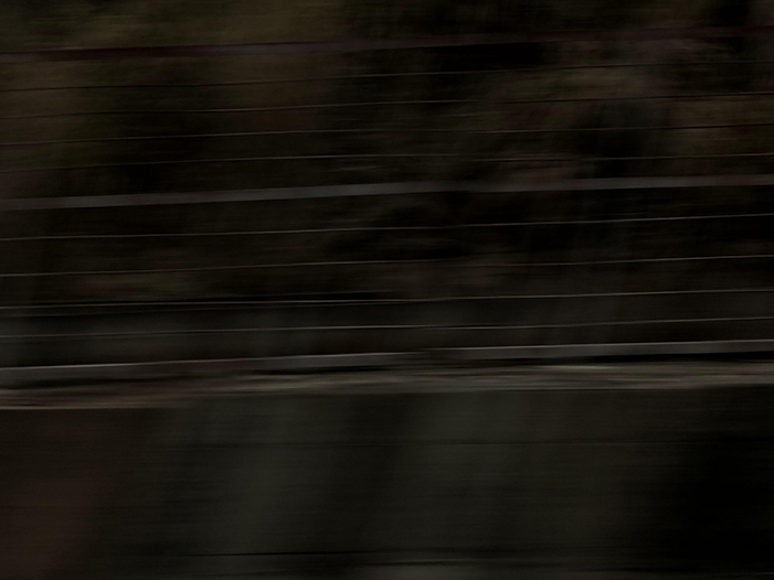 Ng Hon Lam Photography