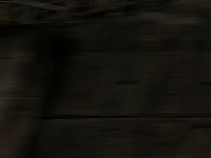 Ng Hon Lam Photography