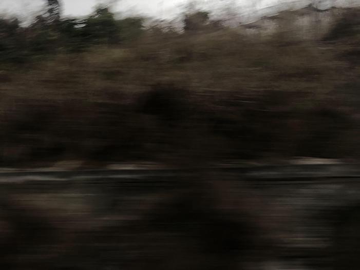 Ng Hon Lam Photography