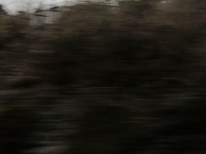 Ng Hon Lam Photography