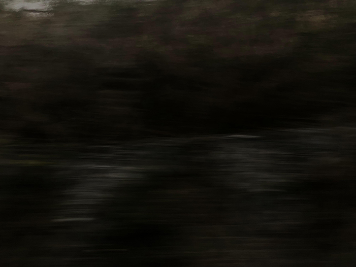 Ng Hon Lam Photography