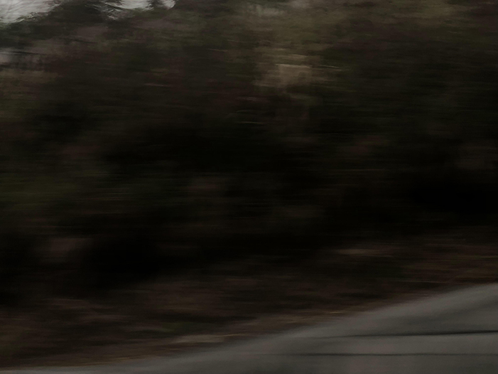 Ng Hon Lam Photography