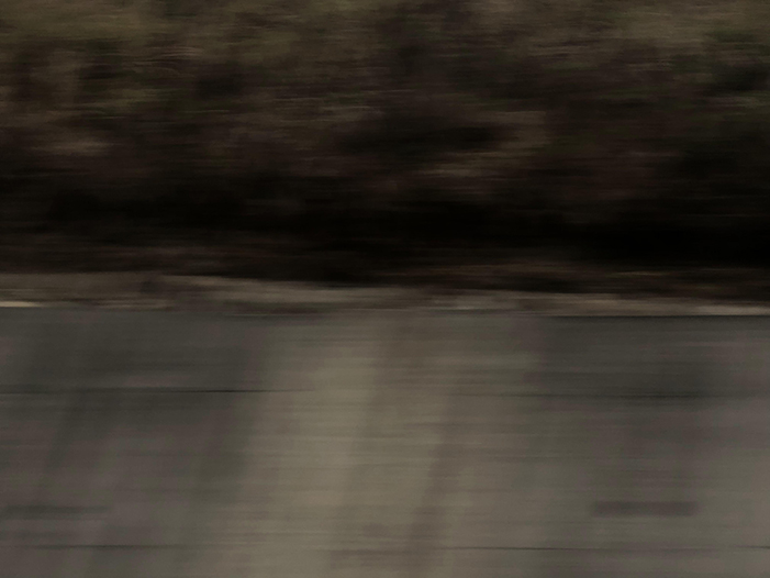 Ng Hon Lam Photography