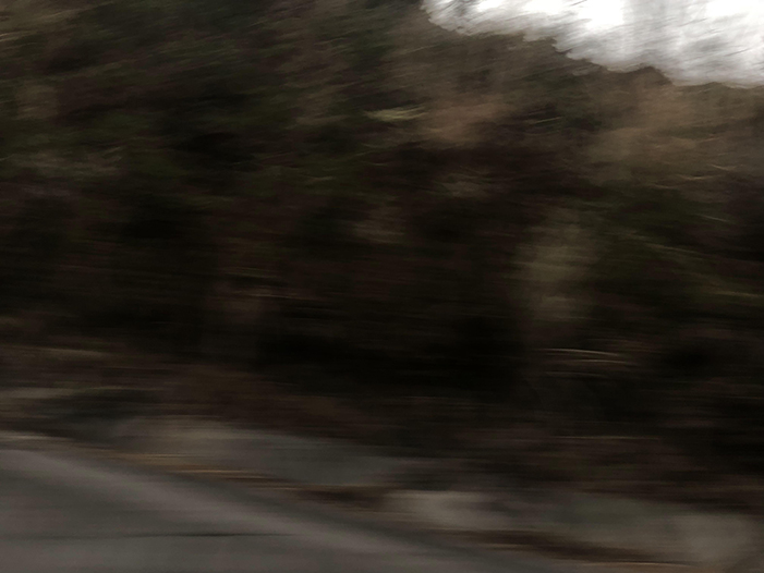 Ng Hon Lam Photography