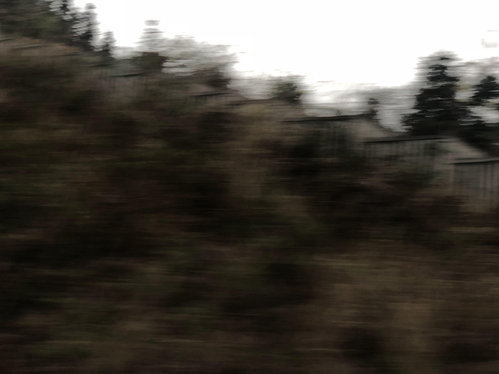 Ng Hon Lam Photography