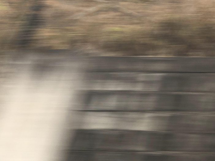 Ng Hon Lam Photography