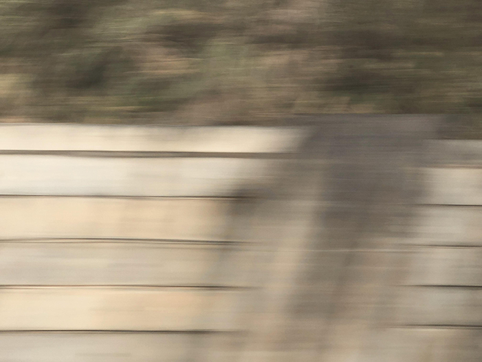 Ng Hon Lam Photography