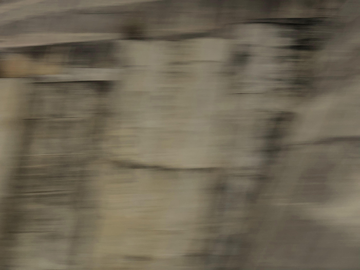 Ng Hon Lam Photography