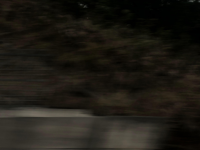 Ng Hon Lam Photography