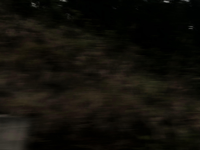 Ng Hon Lam Photography