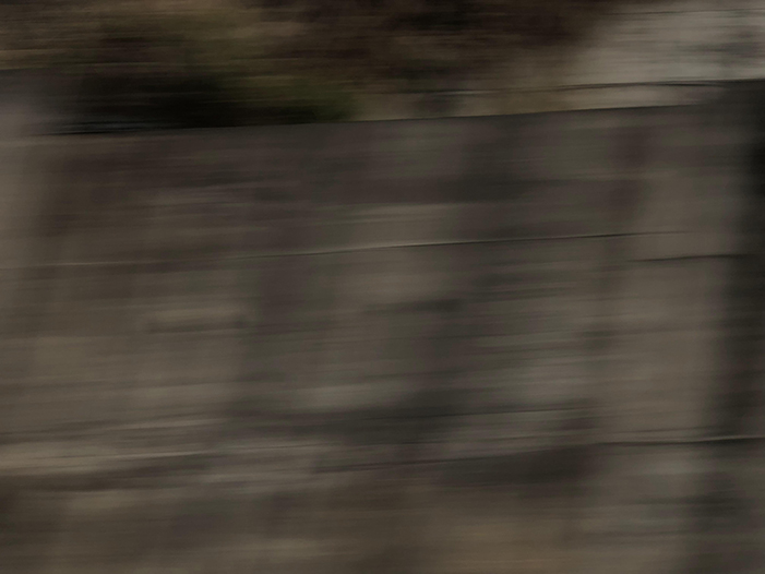 Ng Hon Lam Photography