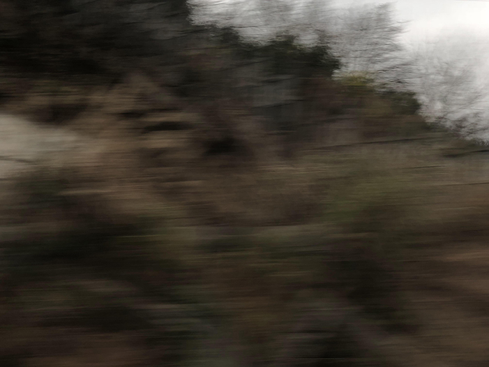 Ng Hon Lam Photography