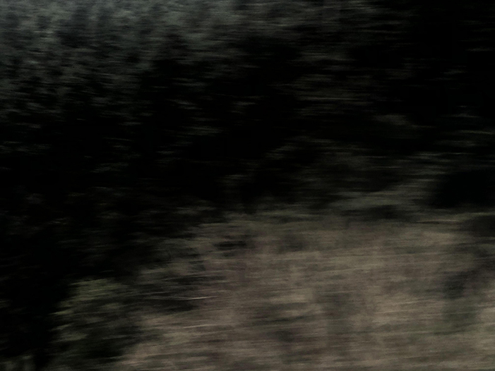 Ng Hon Lam Photography