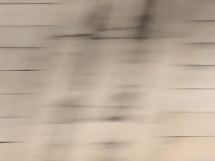 Ng Hon Lam Photography