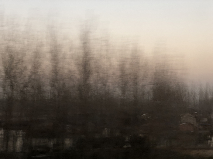 Ng Hon Lam Photography