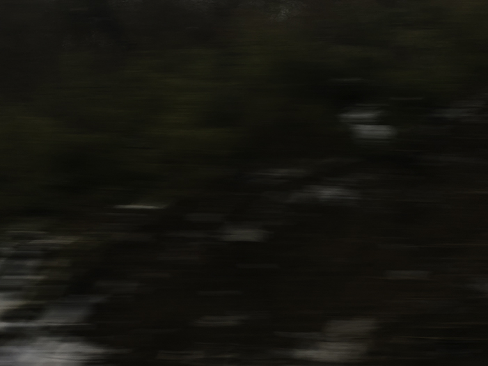 Ng Hon Lam Photography