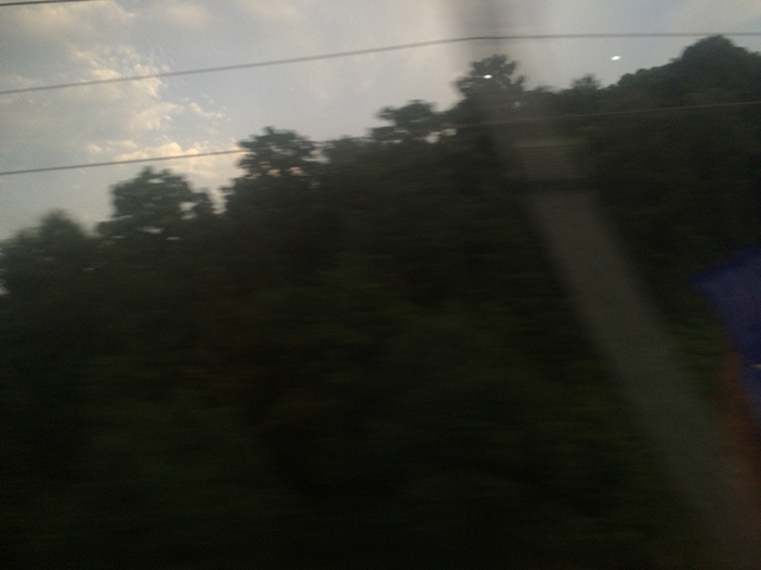 Ng Hon Lam Photography