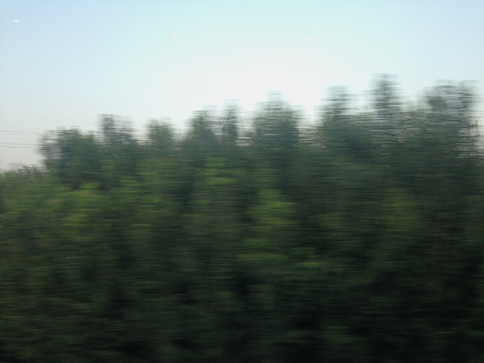 Ng Hon Lam Photography