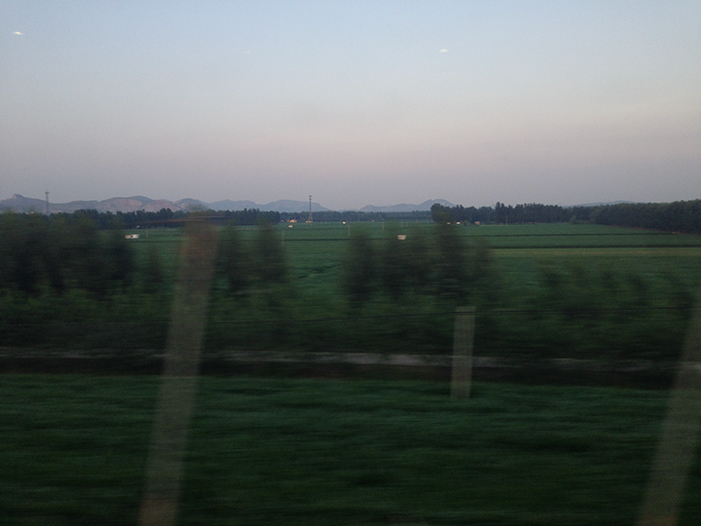 Ng Hon Lam Photography