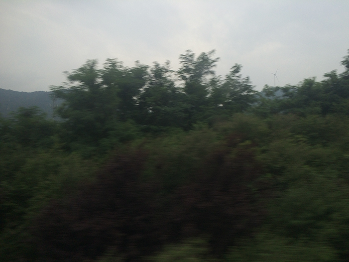 Ng Hon Lam Photography