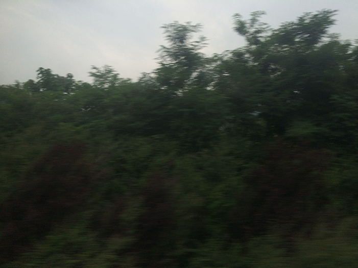 Ng Hon Lam Photography