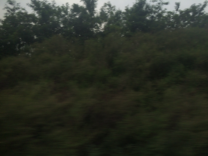 Ng Hon Lam Photography