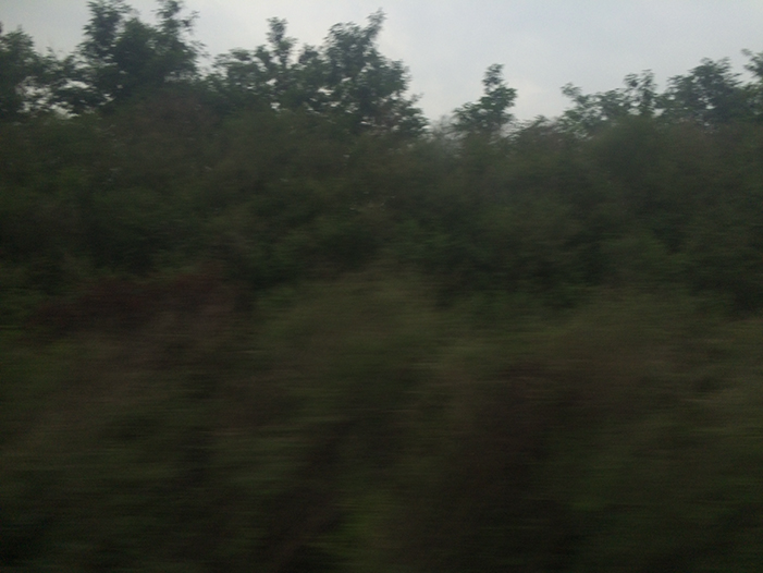 Ng Hon Lam Photography