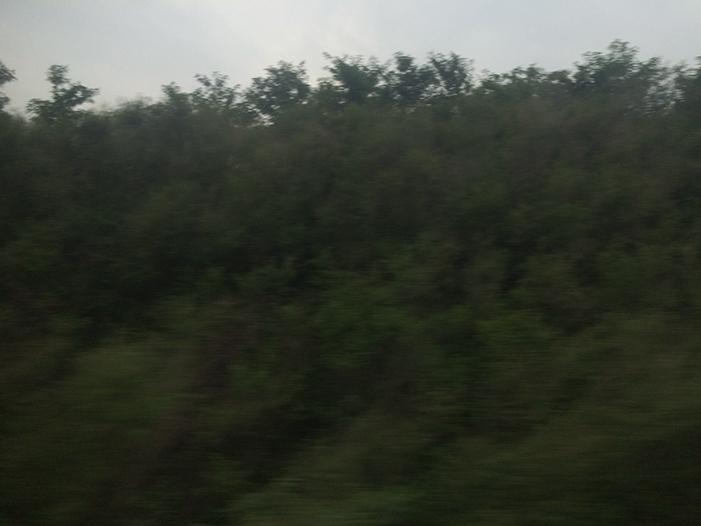 Ng Hon Lam Photography