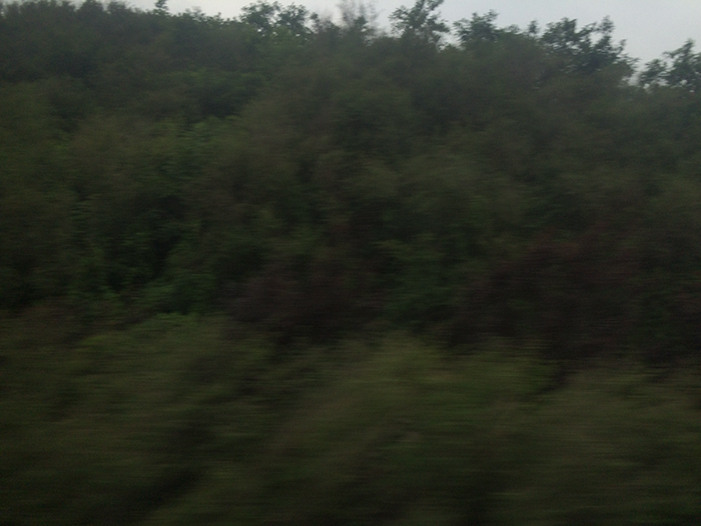 Ng Hon Lam Photography