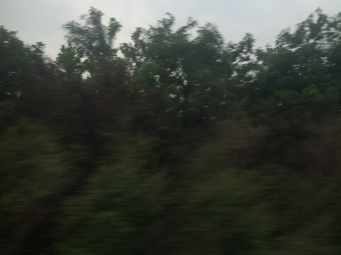 Ng Hon Lam Photography