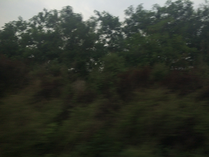 Ng Hon Lam Photography