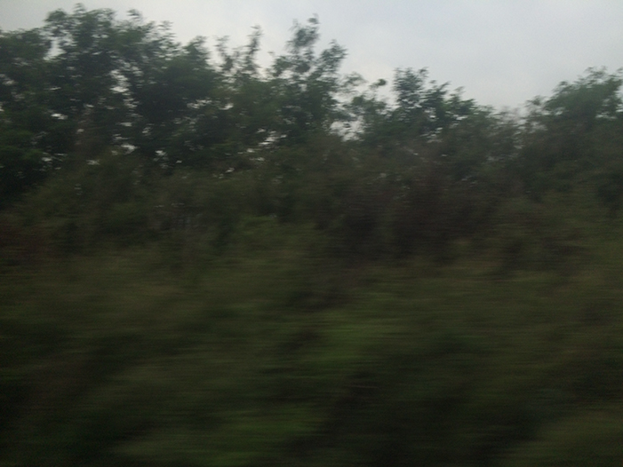 Ng Hon Lam Photography