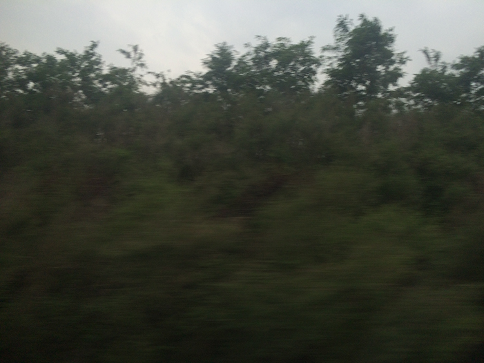 Ng Hon Lam Photography