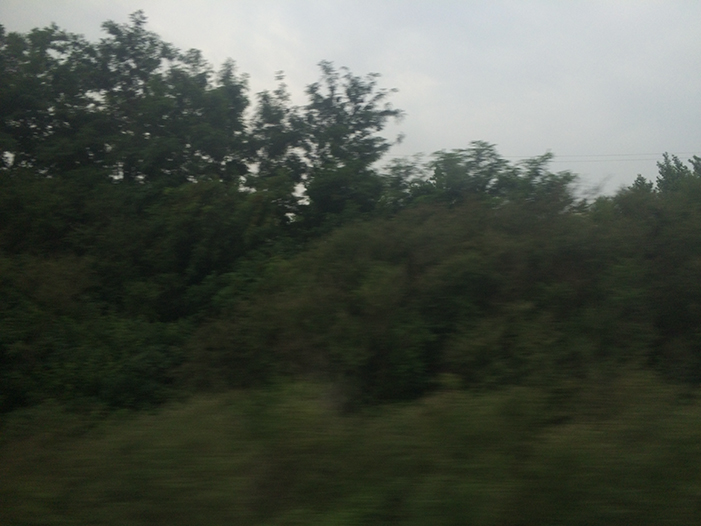 Ng Hon Lam Photography