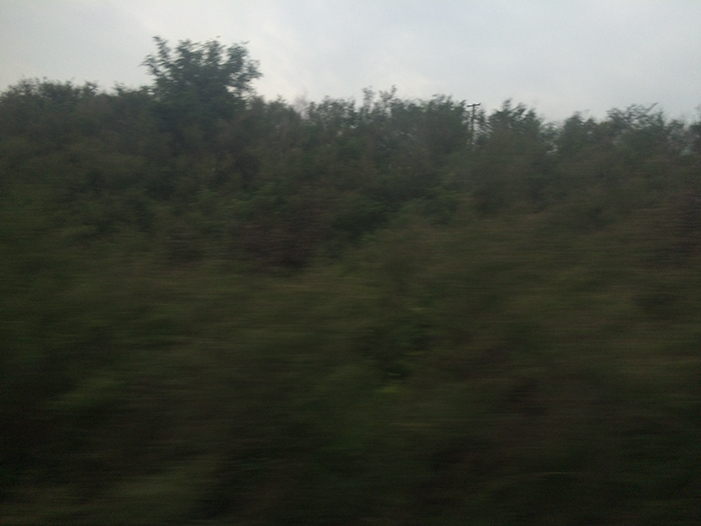 Ng Hon Lam Photography