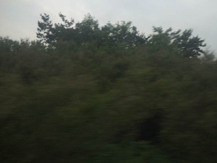 Ng Hon Lam Photography