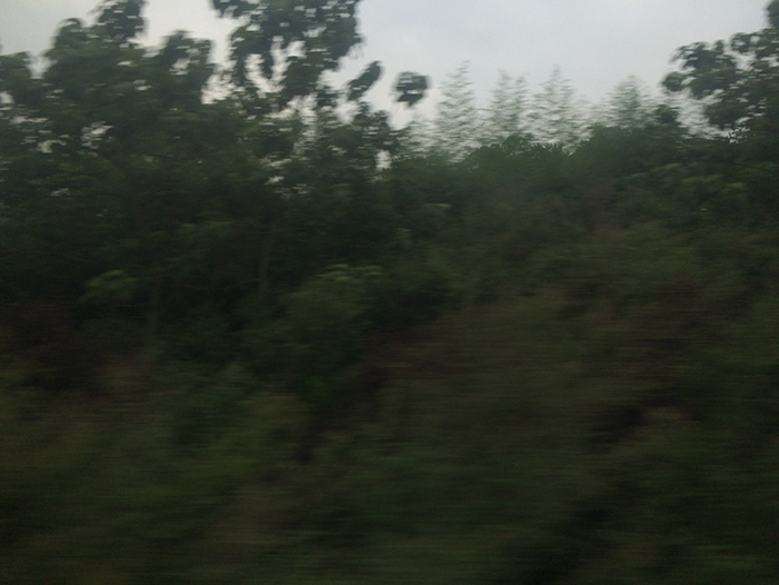 Ng Hon Lam Photography