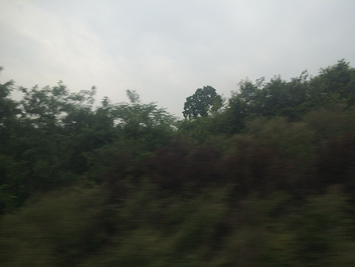 Ng Hon Lam Photography