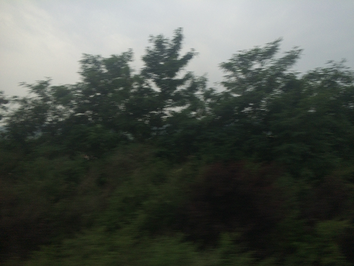 Ng Hon Lam Photography