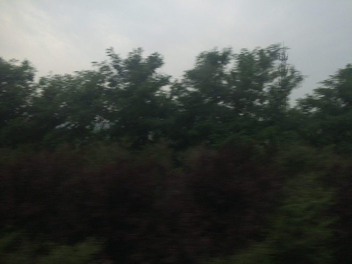 Ng Hon Lam Photography