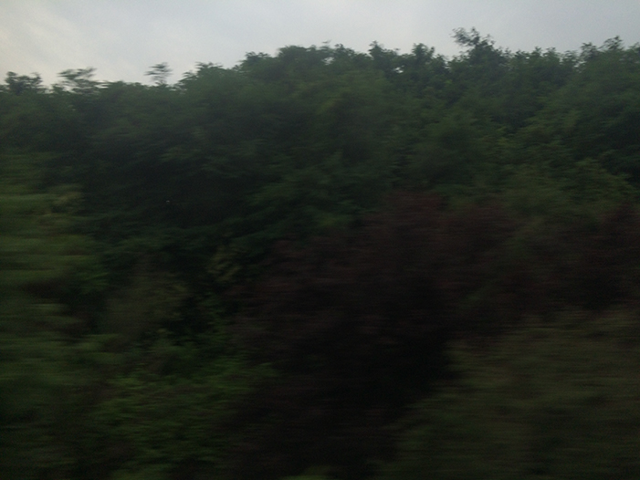 Ng Hon Lam Photography