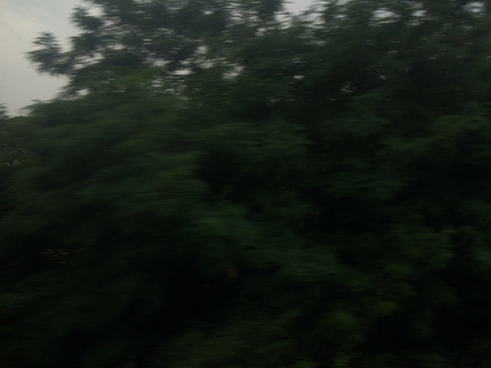 Ng Hon Lam Photography