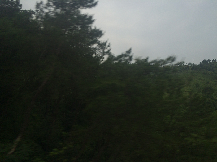 Ng Hon Lam Photography