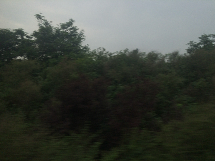 Ng Hon Lam Photography