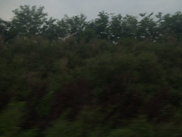 Ng Hon Lam Photography