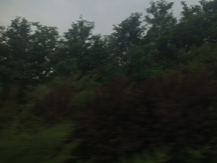 Ng Hon Lam Photography