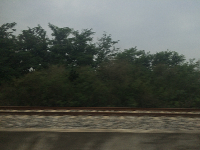 Ng Hon Lam Photography