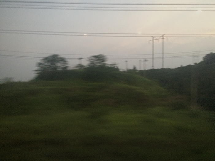 Ng Hon Lam Photography