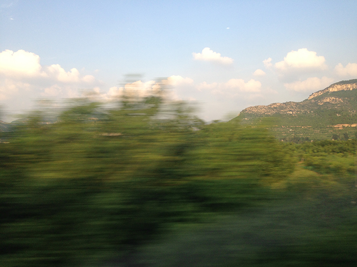 Ng Hon Lam Photography